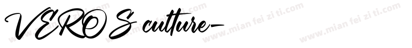 VEROS culture字体转换